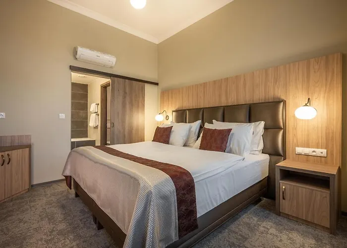 Efi Superior & Pivovar Hotell 4*